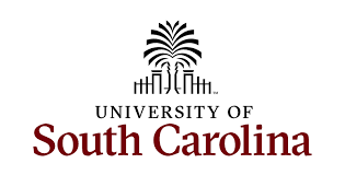 Assistant Professor and  Instructor – The University of South Carolina